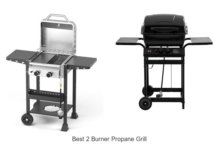 Best 2 Burner Propane Grill That Will Change Your BBQ Game