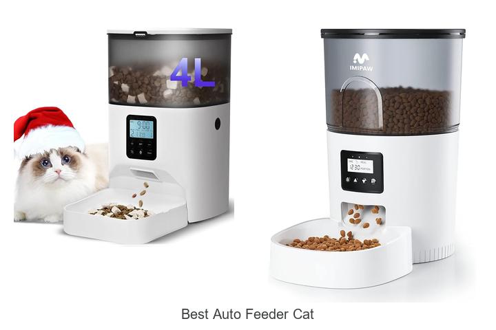 Best Auto Feeder Cat Hacks You Can’t Miss Today!