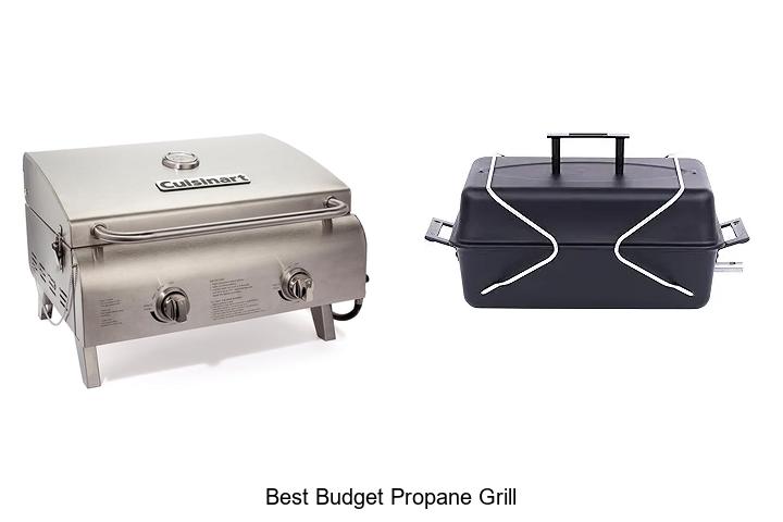 Best Budget Propane Grill That Will Blow Your Mind!