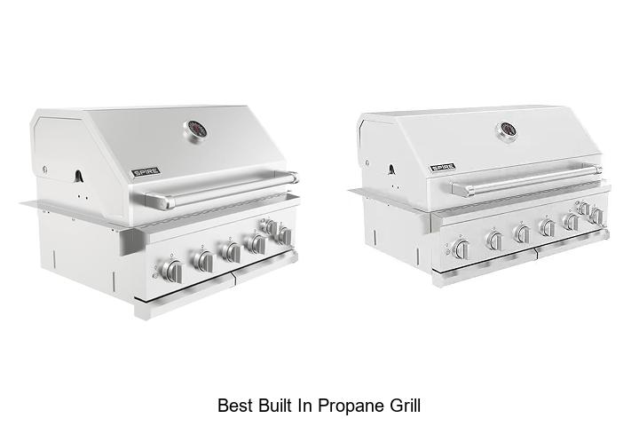 Best Built In Propane Grill That Will Blow Your Mind