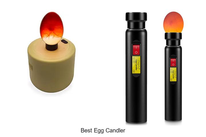 Top 10 Best Egg Candler Hacks You Can’t Miss Today!