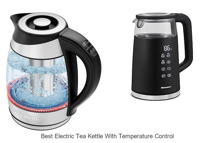 Top 10 Best Electric Tea Kettle With Temperature Control Revealed