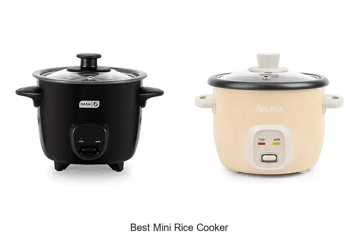 Top 15 Best Mini Rice Cooker You Can’t Live Without