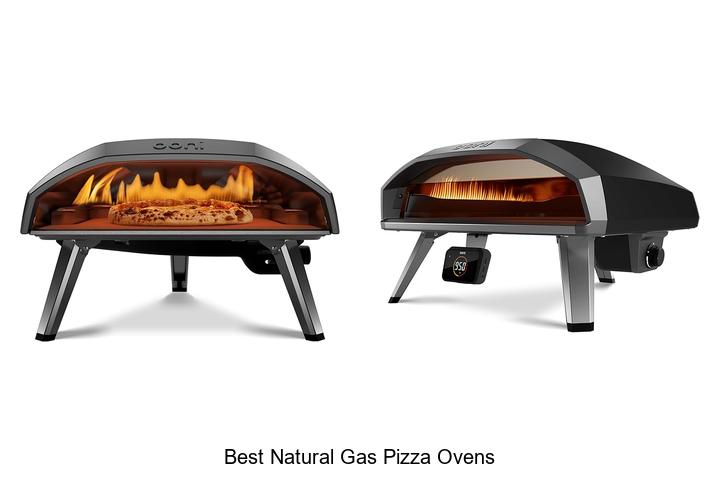 Top 12 Best Natural Gas Pizza Ovens You Can’t Miss!
