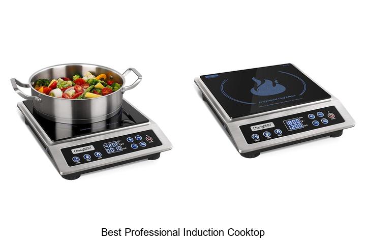 Top 12 Best Professional Induction Cooktop You Need Now
