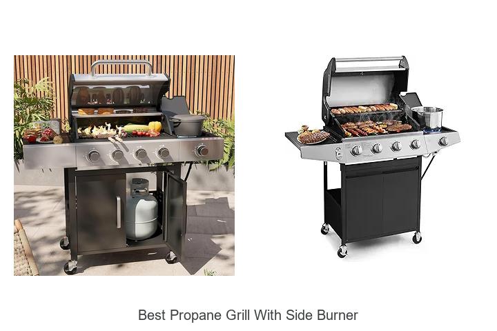 Best Propane Grill With Side Burner That Will Blow You Away