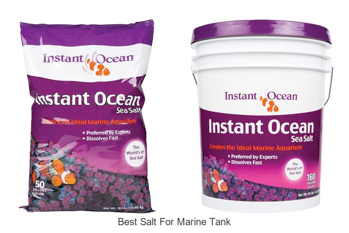 Top 15 Best Salt For Marine Tank You Can’t Miss!