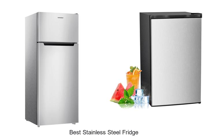 Top 10 Best Stainless Steel Fridge That Will Amaze You!