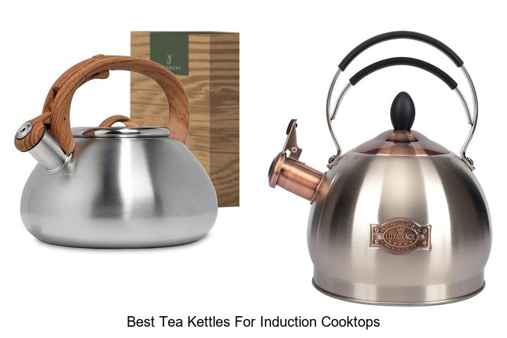 Top 12 Best Tea Kettles for Induction Cooktops You Need!