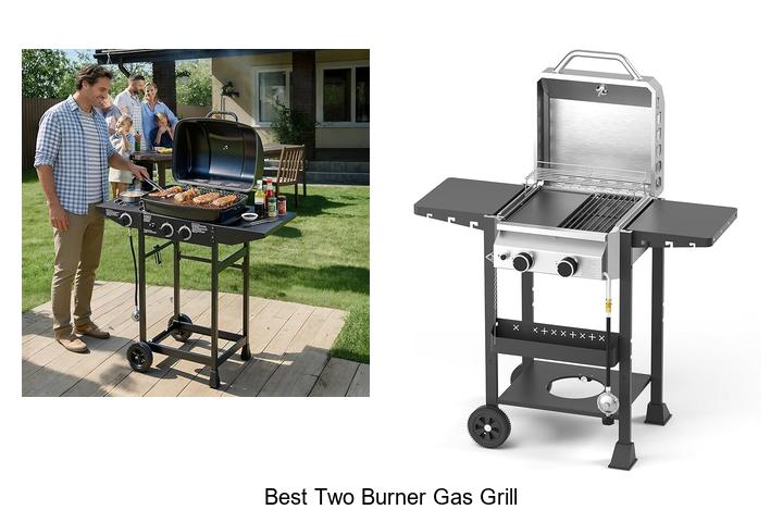 Best Two Burner Gas Grill That Will Blow Your Mind Today!